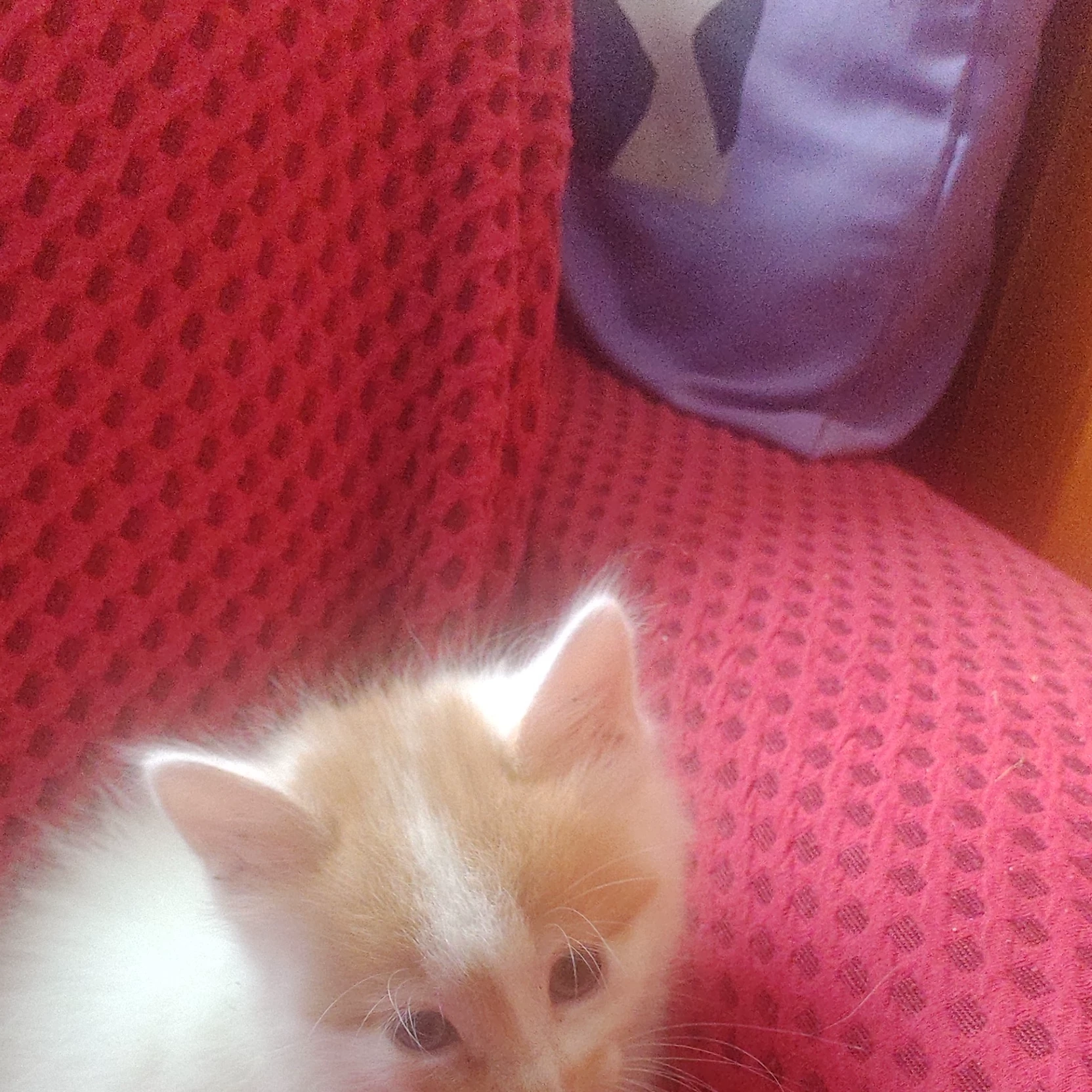 María 🥰