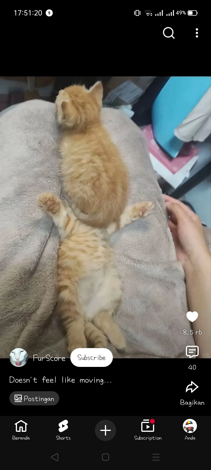 Your kitties (⁠ *⁠´⁠ω⁠｀⁠* ⁠) thumbnail