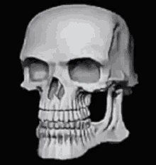 whatever you want thumbnail