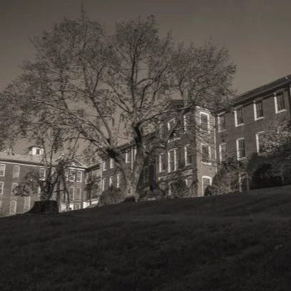  Violent Mental asylum...🫪 thumbnail