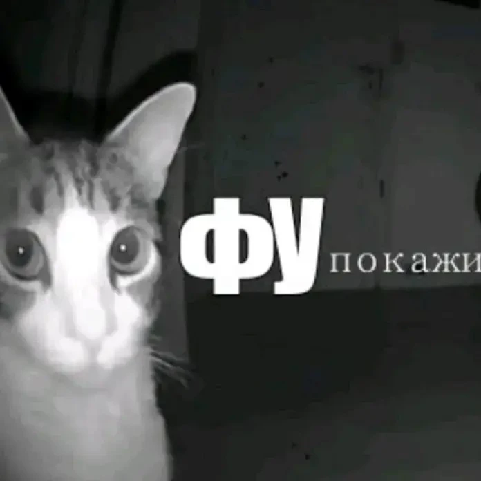 Мона