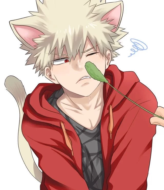 Katsuki Bakugo (DKBK) thumbnail
