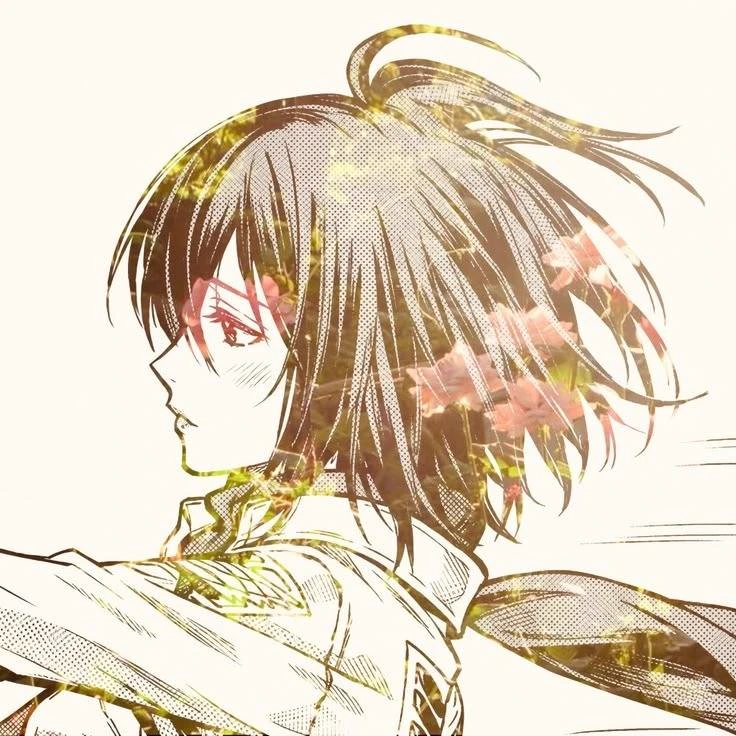 mikasa