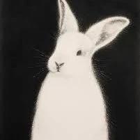 Bunny thumbnail