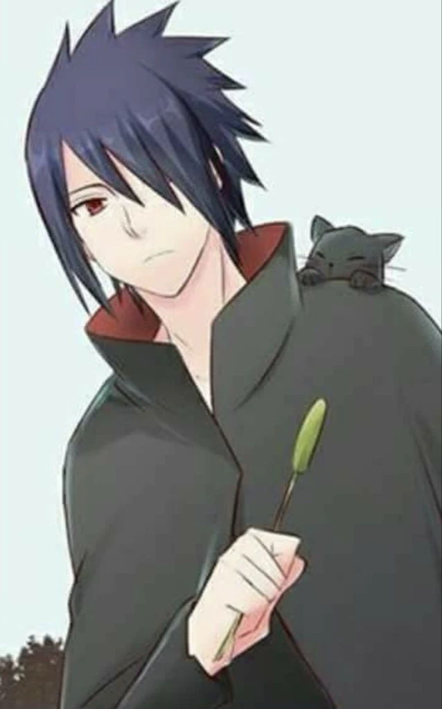 Sasuke thumbnail