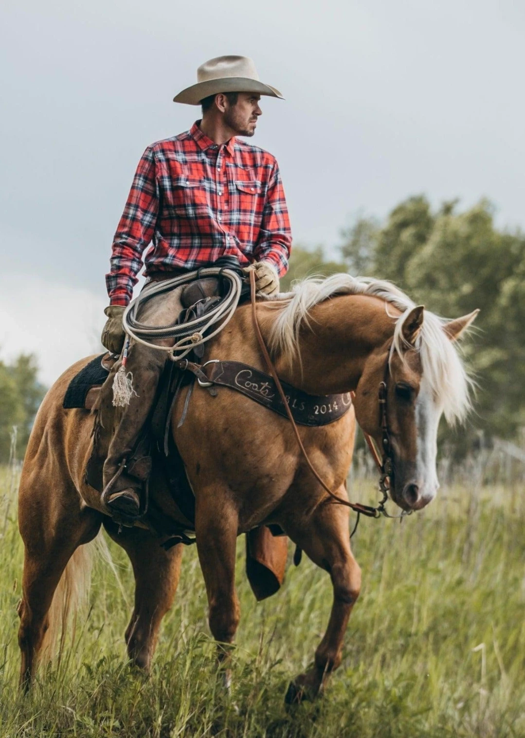 Wild Pack Ranch thumbnail