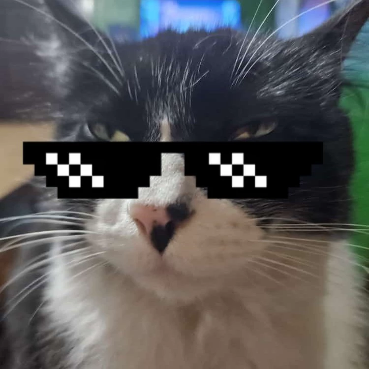 ⍰ 𝐅𝐎𝐅𝐎𝐑𝐈𝐓𝐎 ੭ৎ