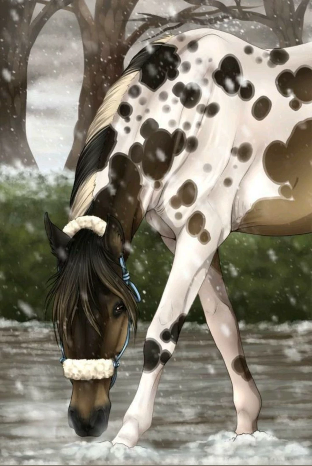 Snow thumbnail