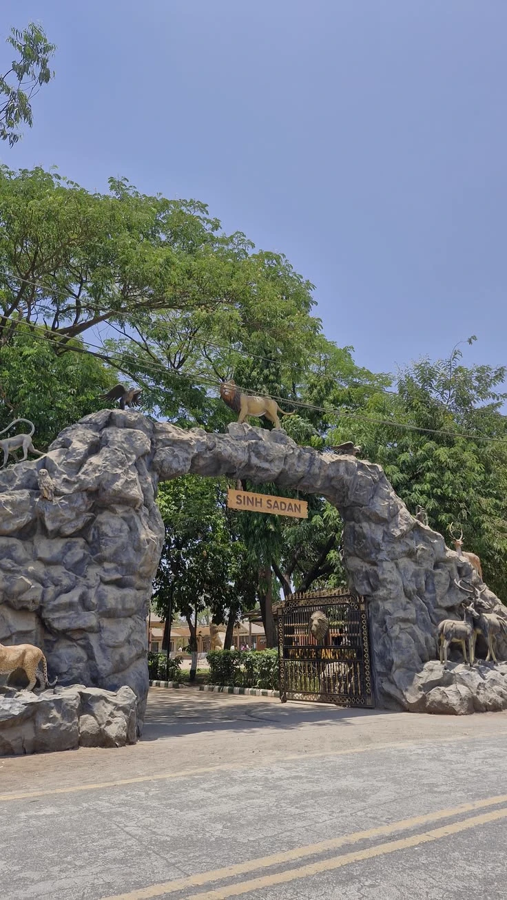 lily zoo thumbnail