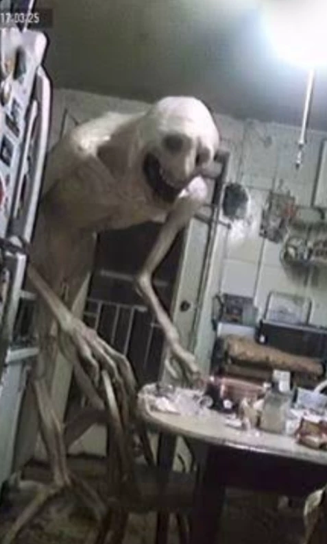 Living in the world of the Afton part2 thumbnail