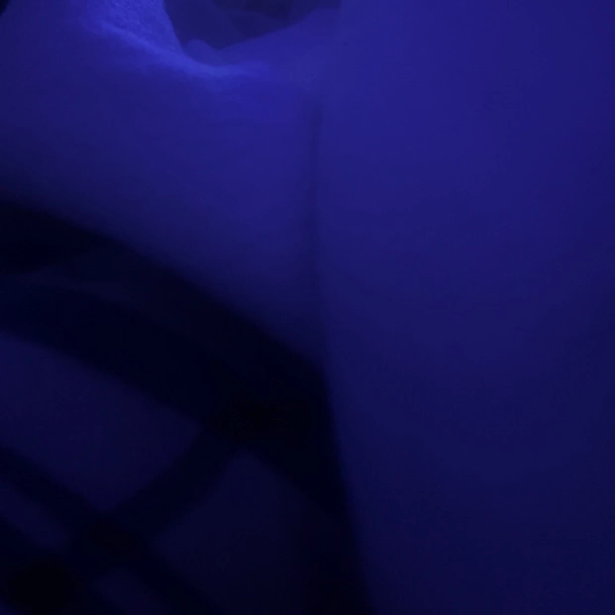 bot1 thumbnail