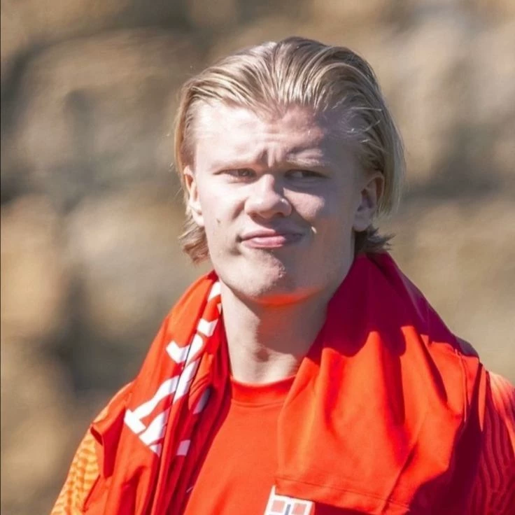 Erling Halaand thumbnail
