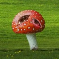 dreamcore mushroom thumbnail