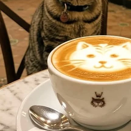 Mochi 