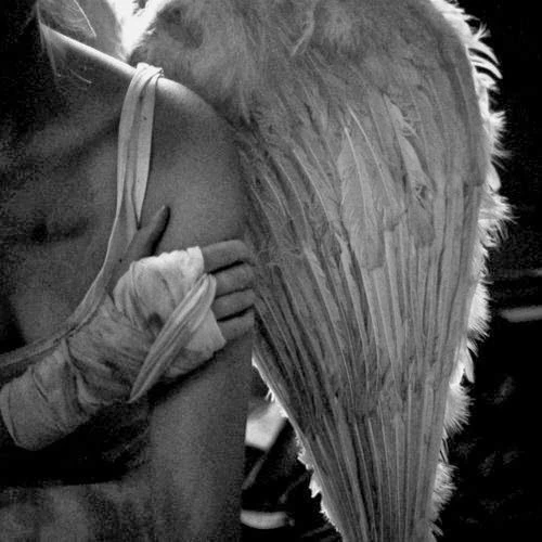Angel.  thumbnail