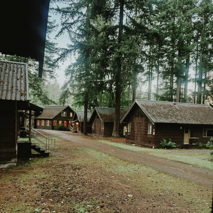 Camp Redwood thumbnail