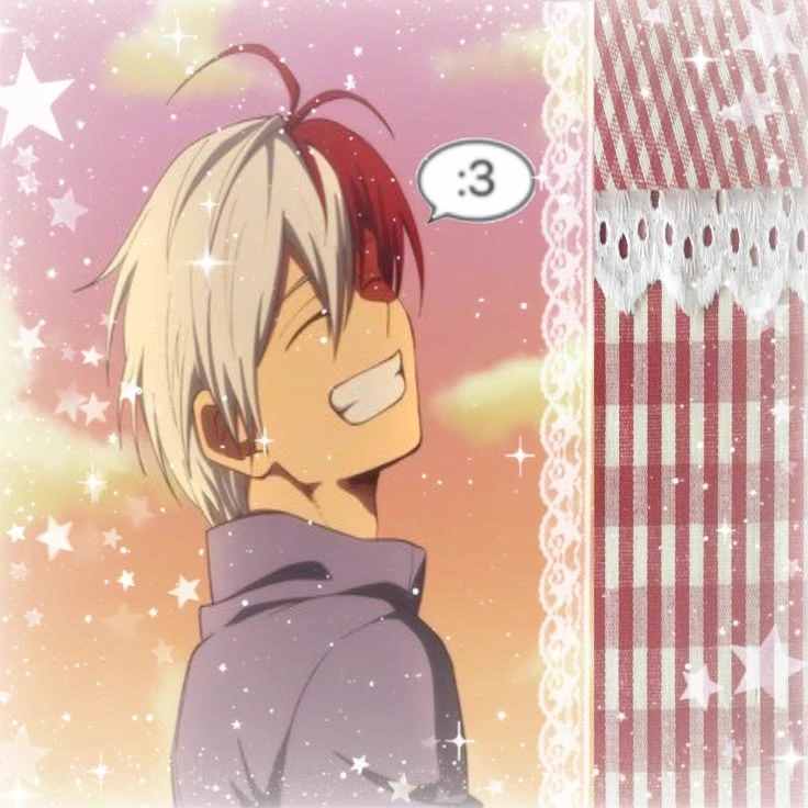 Shoto Todoroki thumbnail
