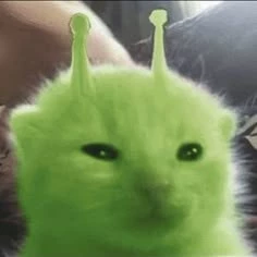 Mateo