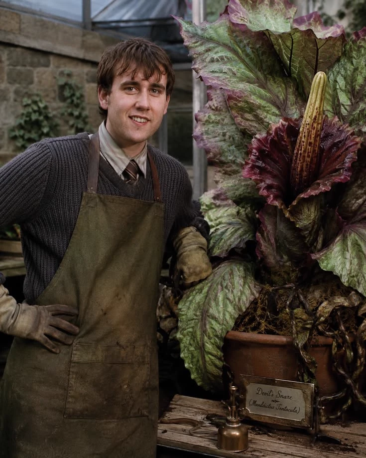 Neville Longbottom thumbnail