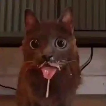 Reincarnated as a cat thumbnail