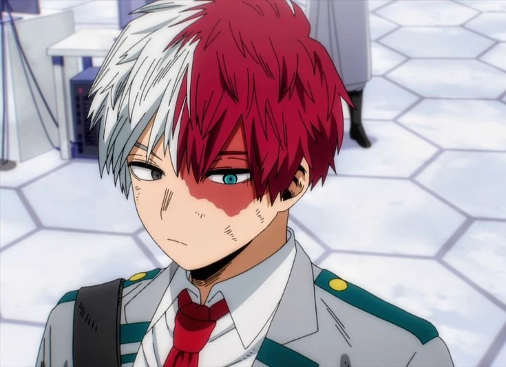 Todoroki Shoto thumbnail