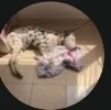 Salma thumbnail