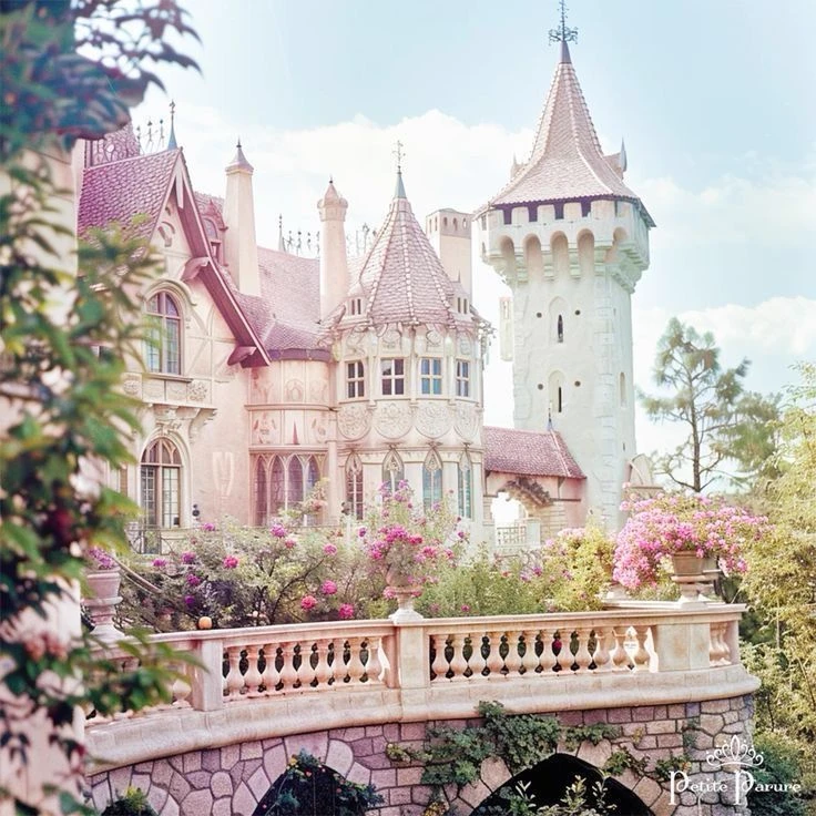 Kingdom of Magic\|👑 thumbnail