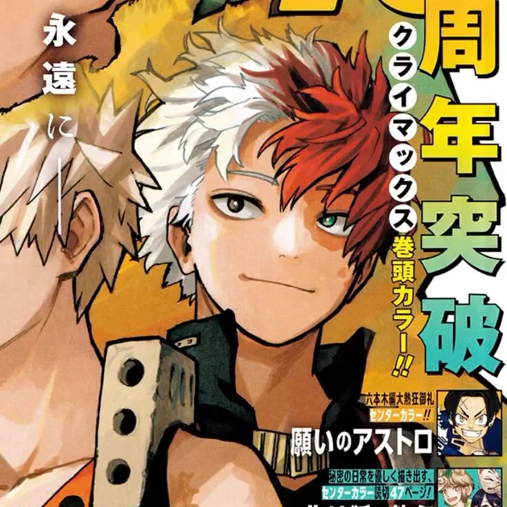 Shoto Todoroki thumbnail