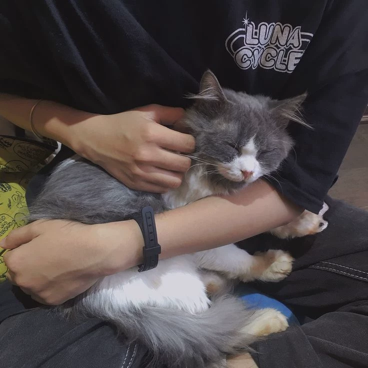 Julian  thumbnail