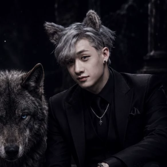 Bang Chan (Wolf Chan) thumbnail