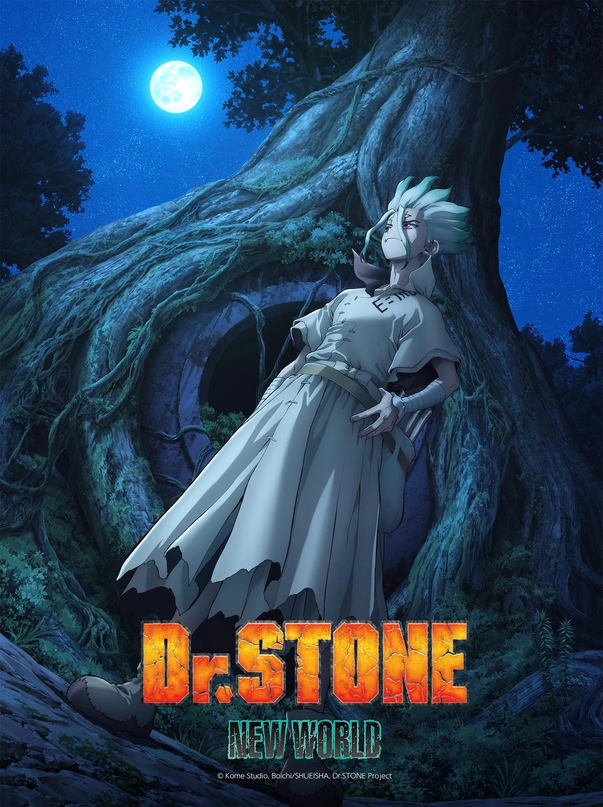 Dr.stone RPG thumbnail