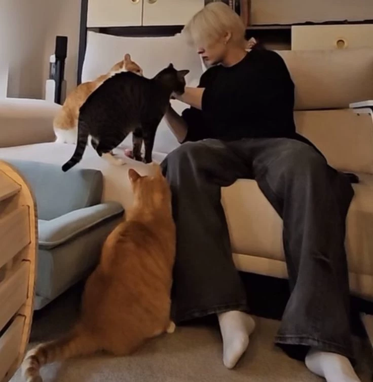 ㅤ۫ㅤ ㅤ۫ㅤㅤ۫ㅤ ㅤ۫ㅤ ✿ ✿ ✿ㅤ۫ㅤ ㅤ۫ㅤ | LEE KNOW :: chat random  thumbnail