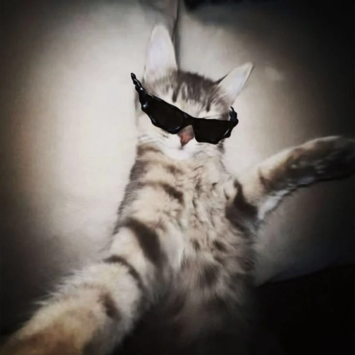 Lom