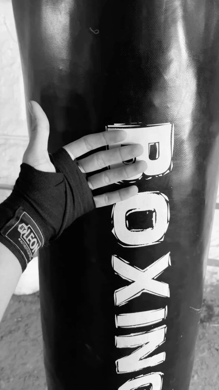 Boxer thumbnail