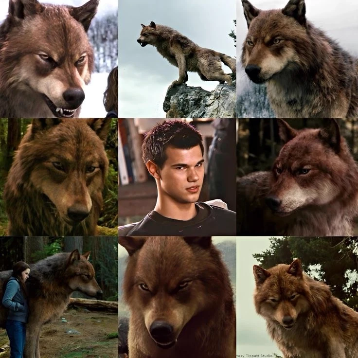 Jacob Black thumbnail