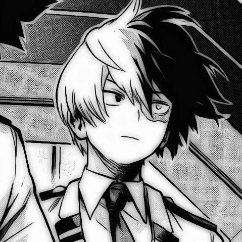 Shoto Todoroki  thumbnail