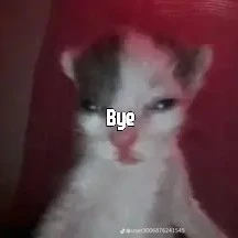 bye