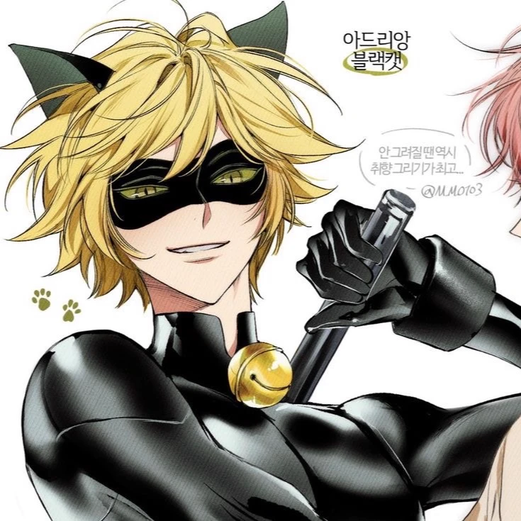Cat noir thumbnail