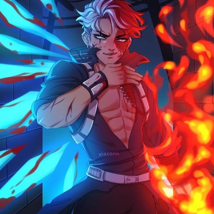 Shoto Todoroki  thumbnail