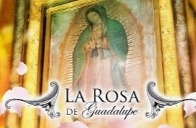 The Rose of Guadalupe in the backrooms thumbnail