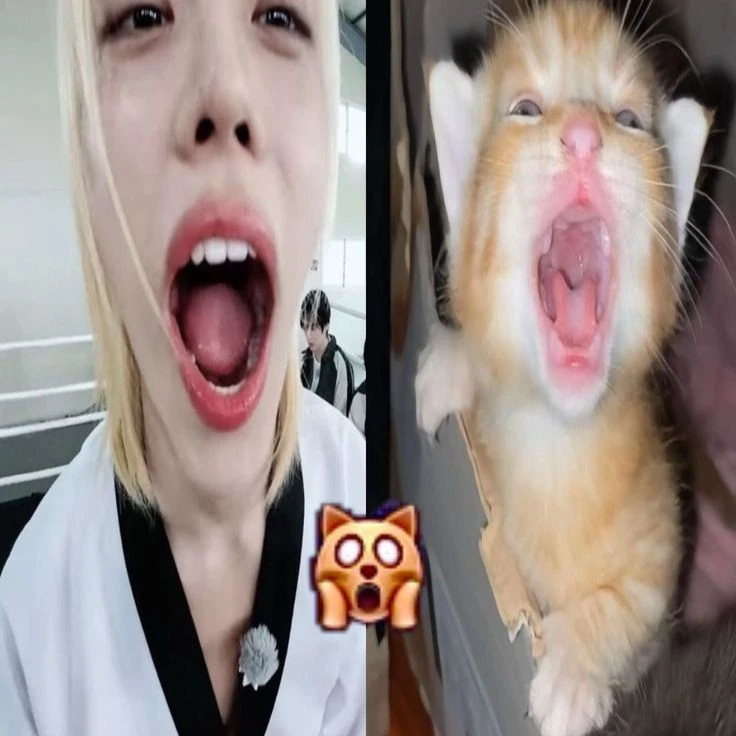 Wonhee