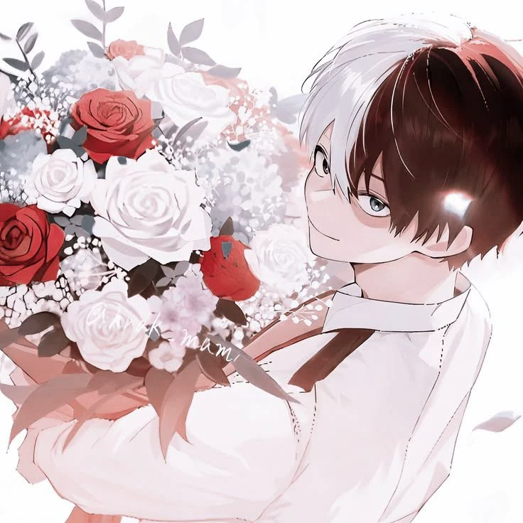 →--------shoto todoroki---------← thumbnail