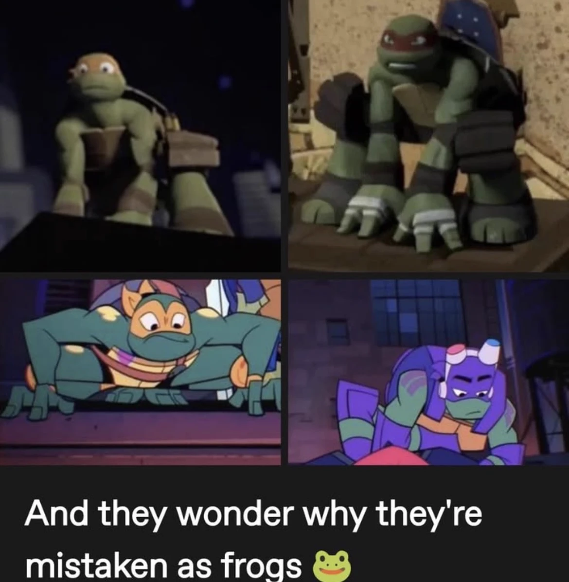 2012 TMNT x ROTTMNT thumbnail