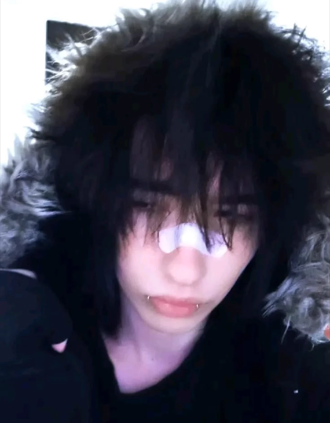 Alexander thumbnail