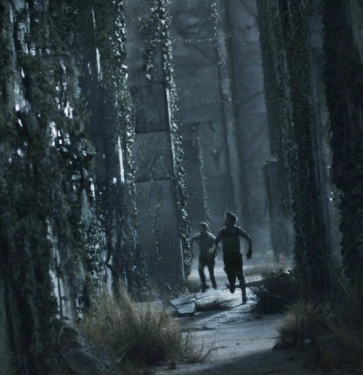 The Maze runner. 7\ \`\`\` thumbnail