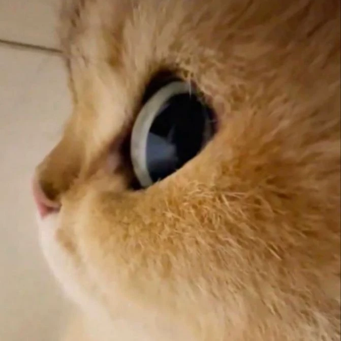 Yunshii 