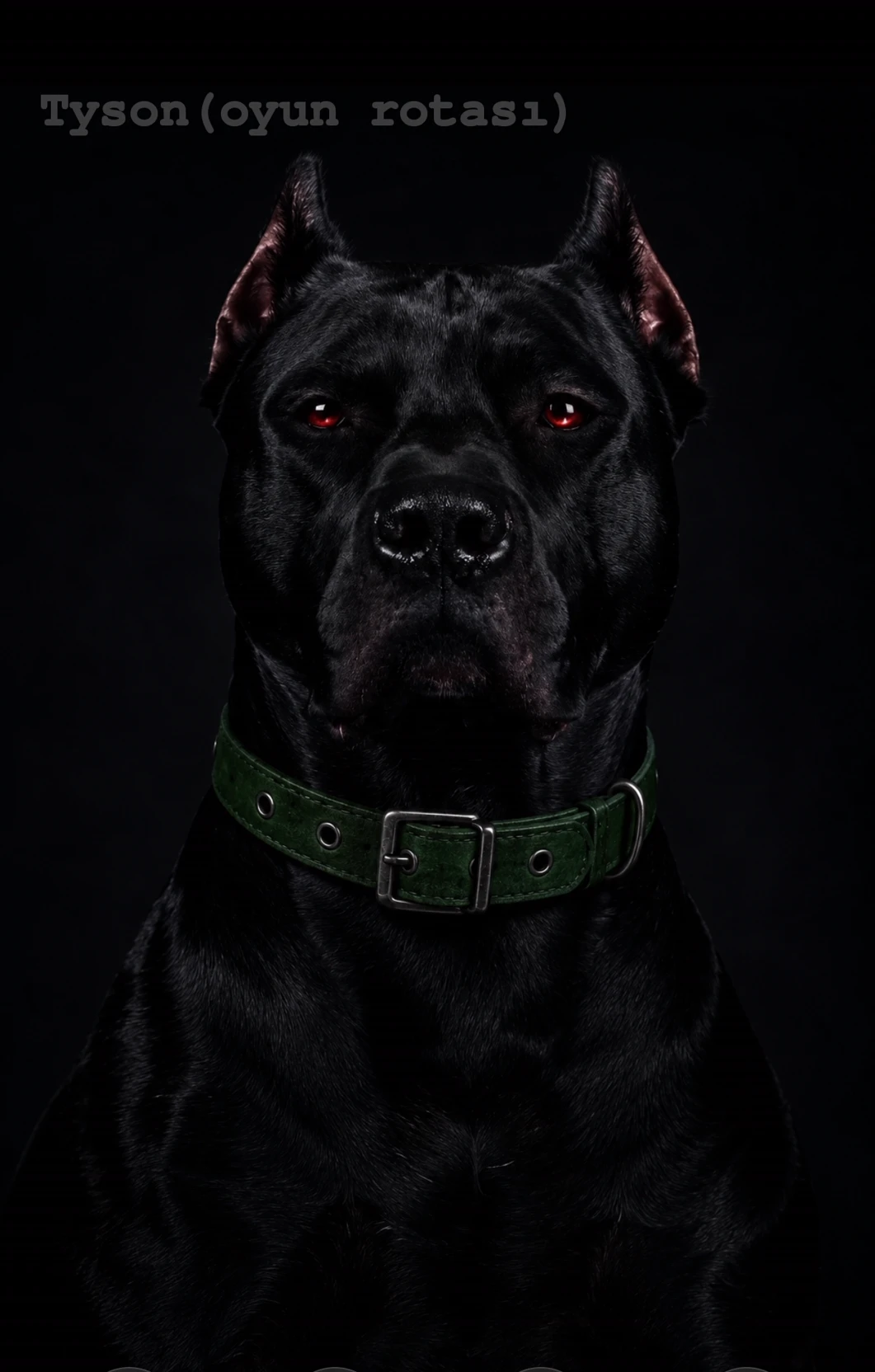 tyson dog\*(game route. the life of the puppy pitbull terminator)\* thumbnail
