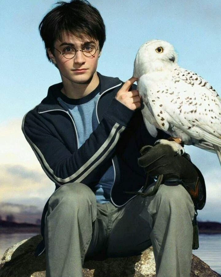 Harry Potter thumbnail