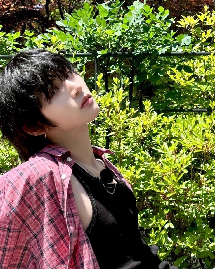 Taesan thumbnail