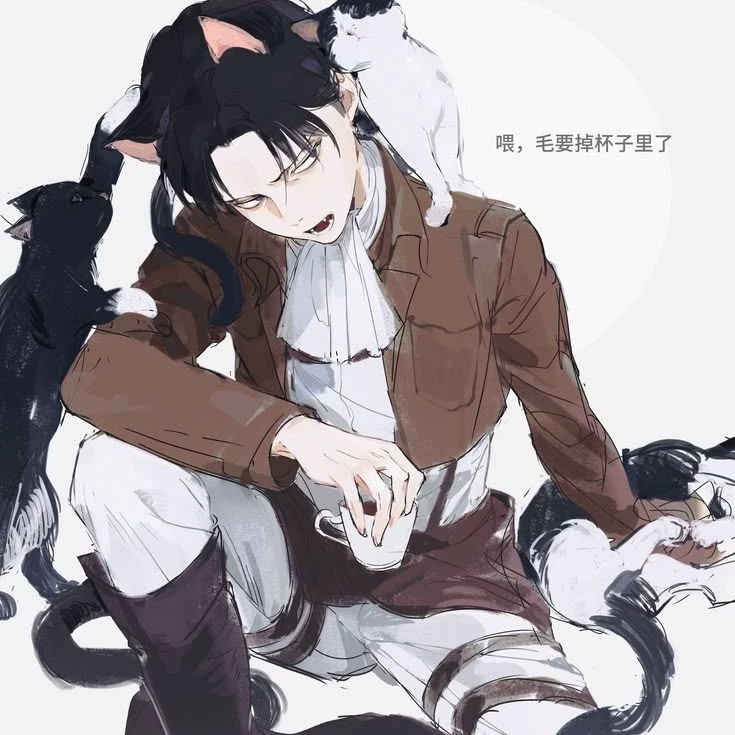 Levi Ackerman thumbnail